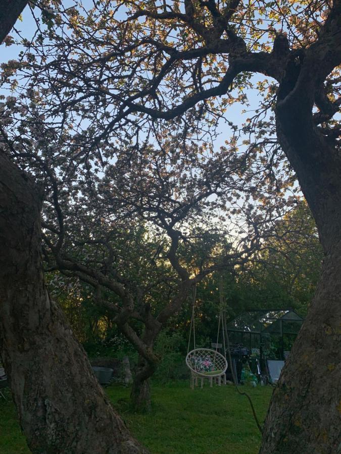 Martebo Bed & Breakfast Tingstade Bagian luar foto