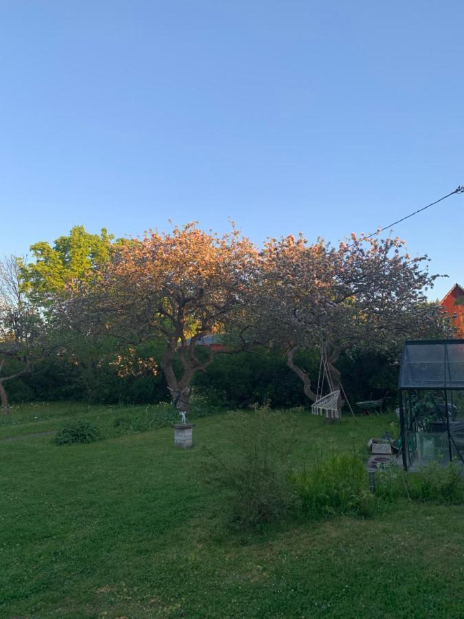 Martebo Bed & Breakfast Tingstade Bagian luar foto